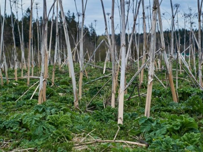 images-cms-image-000058232