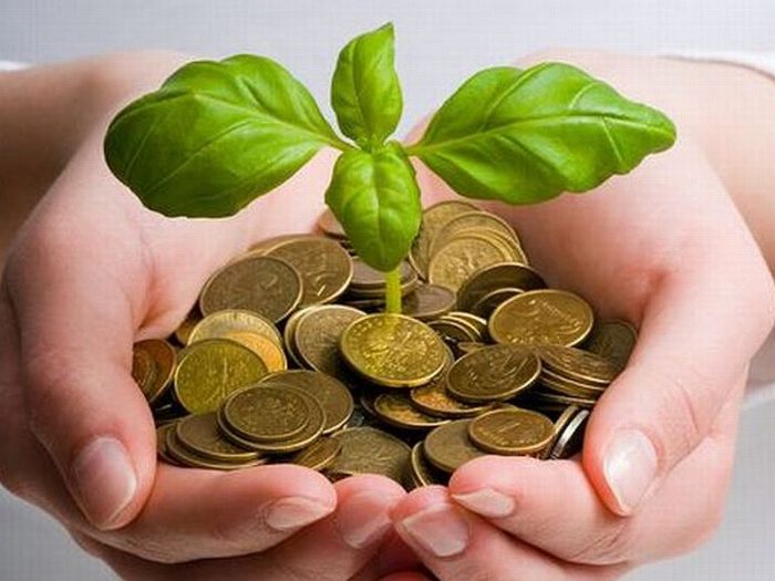 investor-investment-finanzierung-shutterstock-gorillaimages-800