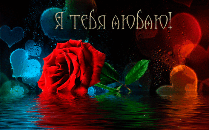 lublu-tebya-lubimiy-6