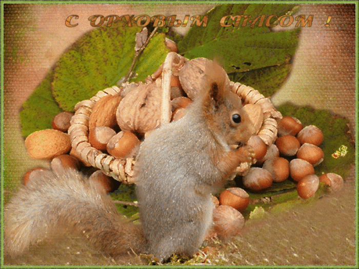 thumbs_0_a8859_ce314508_orig