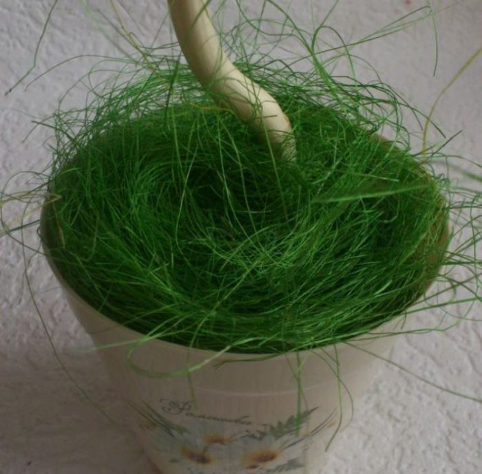 topiariy_iz_romashek_13_copy