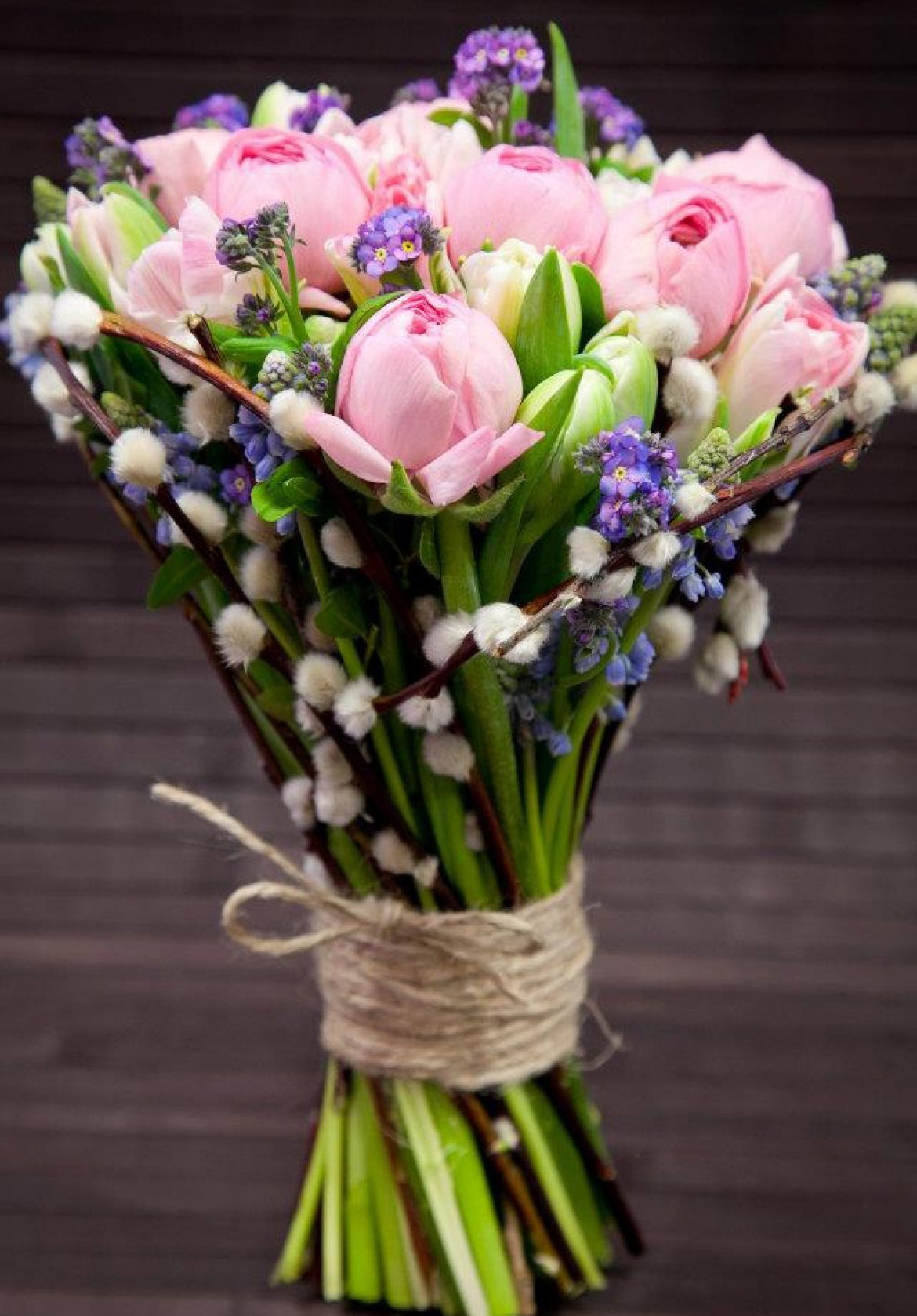 0_14e070_e4a482e1_orig