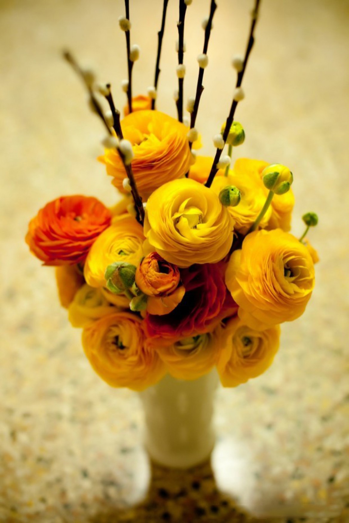 0_14e07c_c50704f5_orig