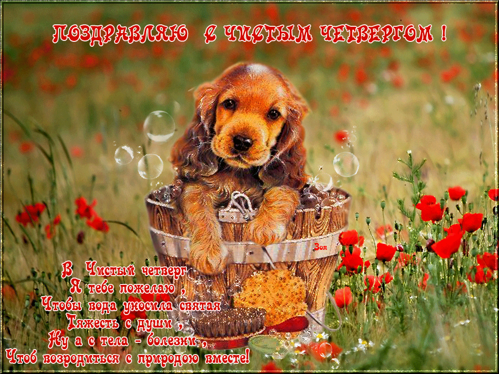 106949464982477791a16adbe8df3e9e9833d5366cdb9a80e7af7c454eef836e