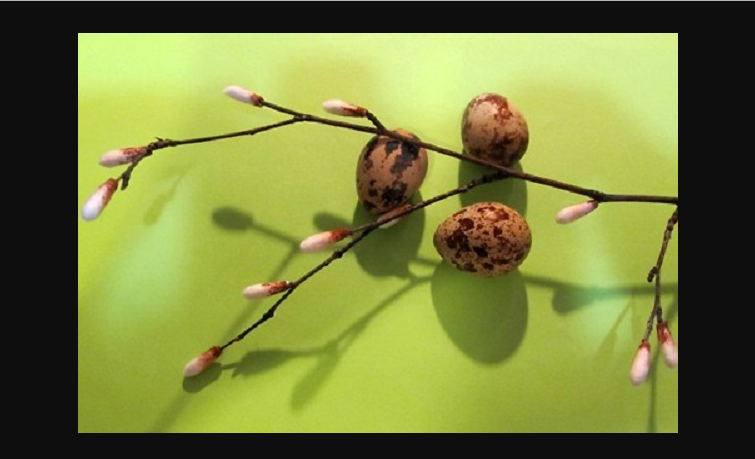 123465sdfdfghjk3465uyyiou