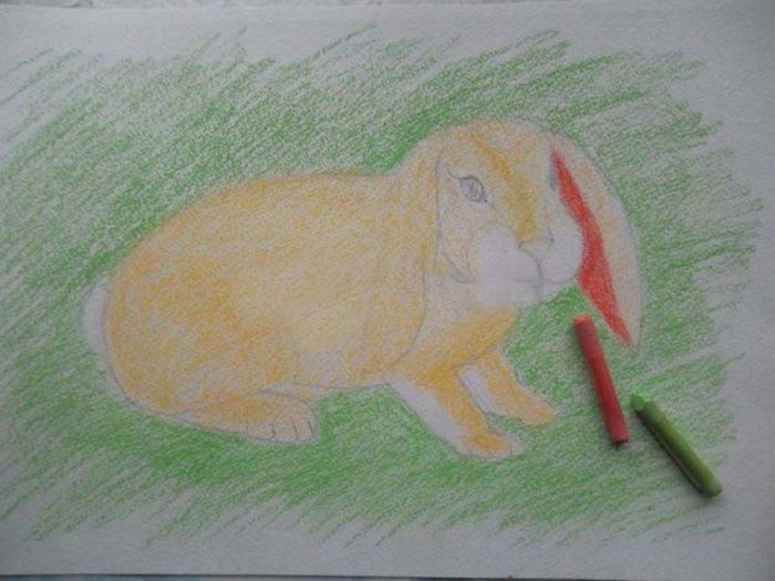 33675_060598f26a2abe7e57a17753622b5236-jpg