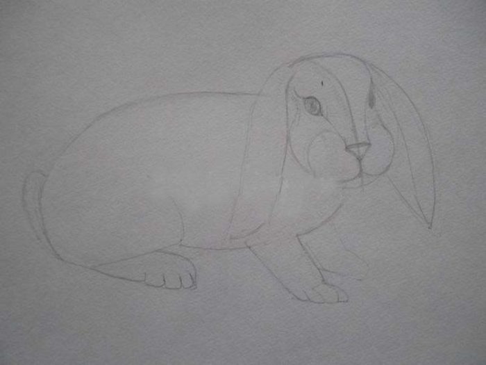 33675_099cb3252ea997cbe64e9d8b886ecf96-jpg