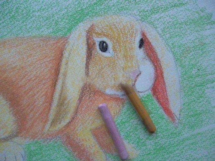 33675_b1e4afe323a518b8eff052eebb1ed7e1-jpg