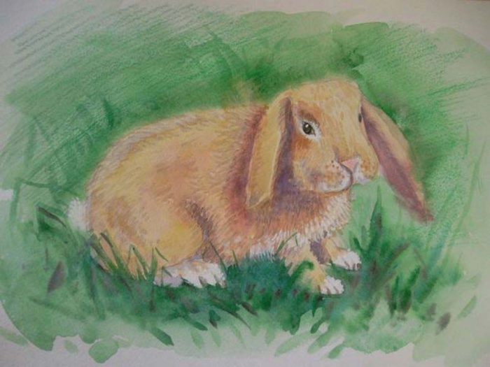 33675_fd9a597ffa09fbc25335f65911e75ef7-jpg