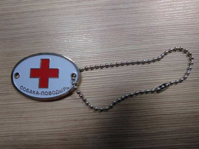 33927549_430366267374489_7510674525298622464_n