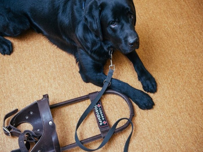 7bdvywxpdofb6fkn2yae1w-wide