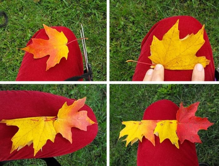autumn-maple-leaf-crowns-1