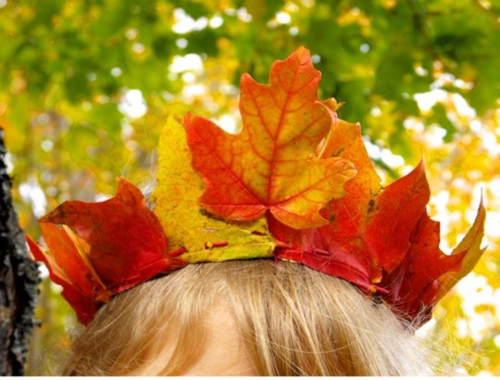 autumn-maple-leaf-crowns