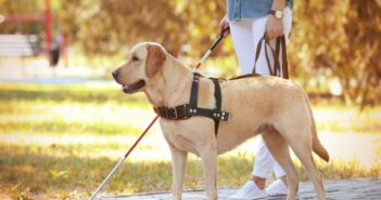 c76bec52fa3fb3c9a44405c5cdb49154