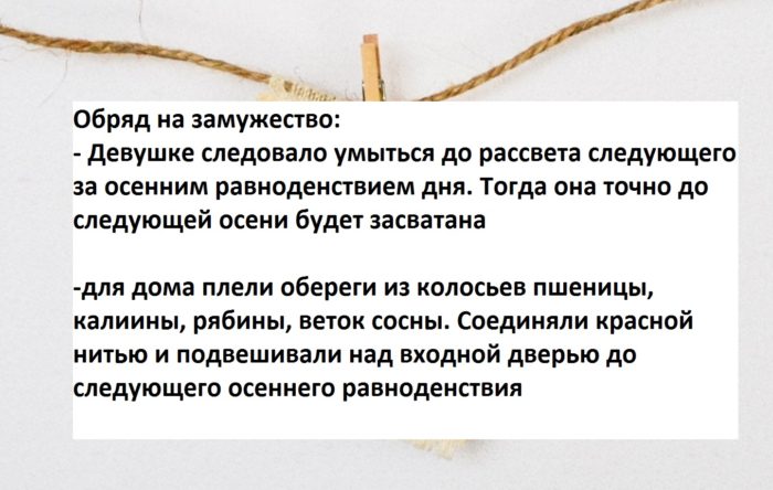 debby-hudson-543573-unsplash