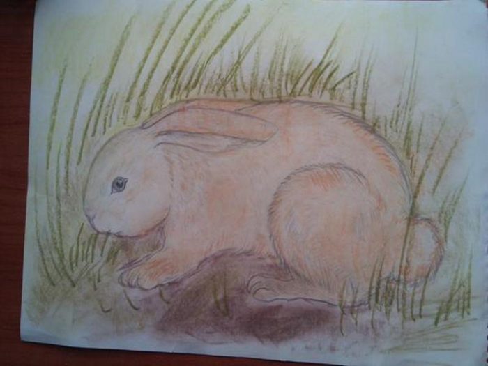 e3da3973-35f7-4167-8c91-0377bdaec8e4