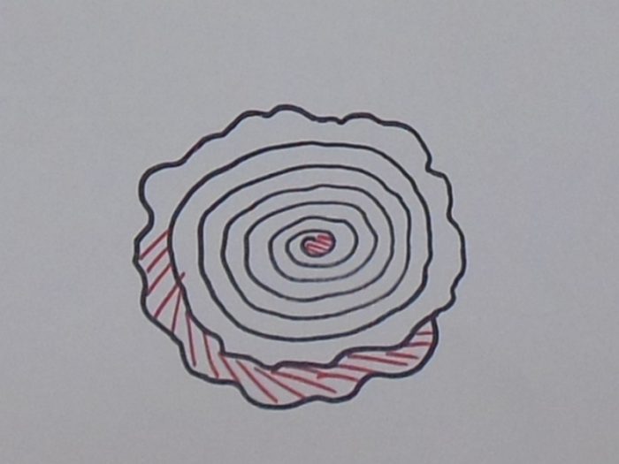 f9a523f6d4841fd7520b4cdc4aa79aeb-jpg