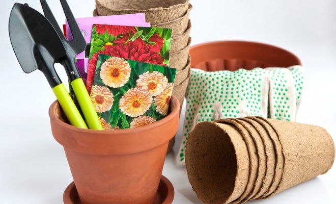 : ÐоÑев ÑвеÑов на ÑаÑÑадÑ