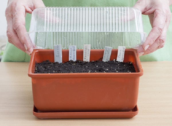 ÐÑÑÑка Ð´Ð»Ñ ÑаÑÑадного ÑÑика