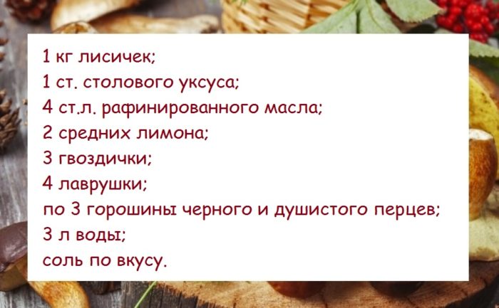 lisichki_s-lim_2