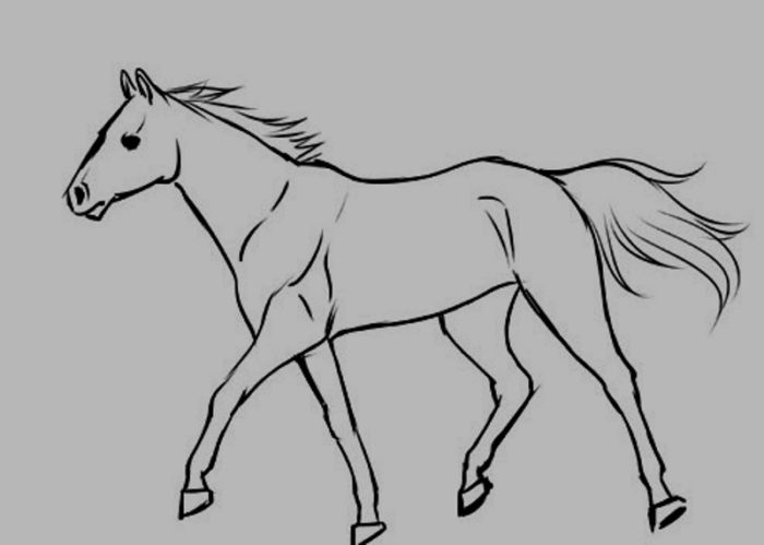 Paint Tool -SAI- JPEG Encoder v1.00