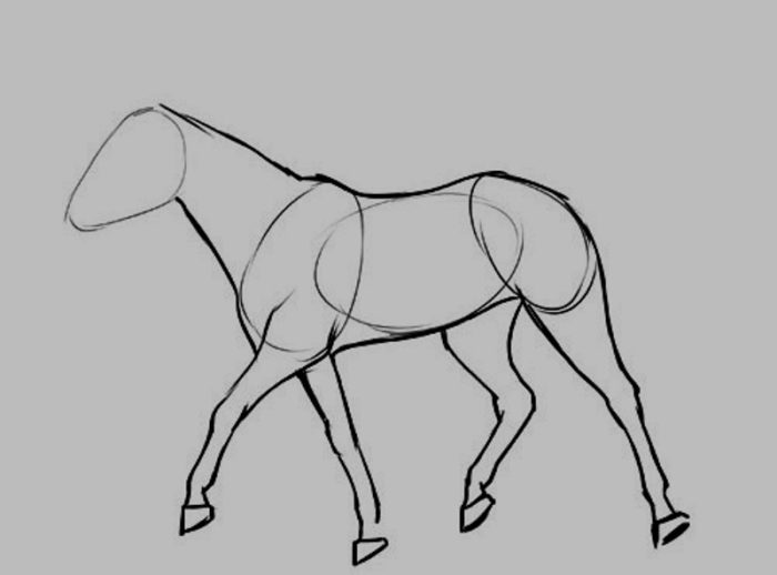 Paint Tool -SAI- JPEG Encoder v1.00