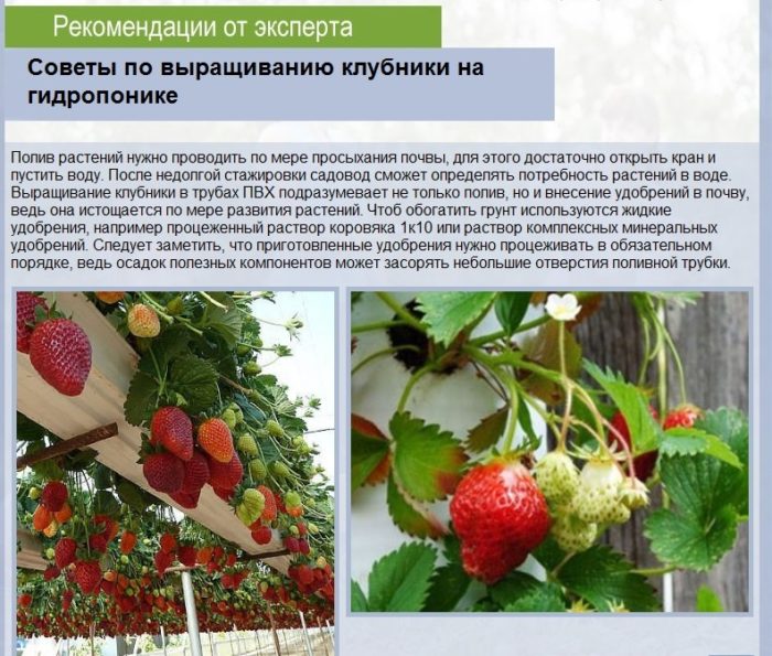 or0gq2r08m8-37-kopiya-kopiya-kopiya-kopiya