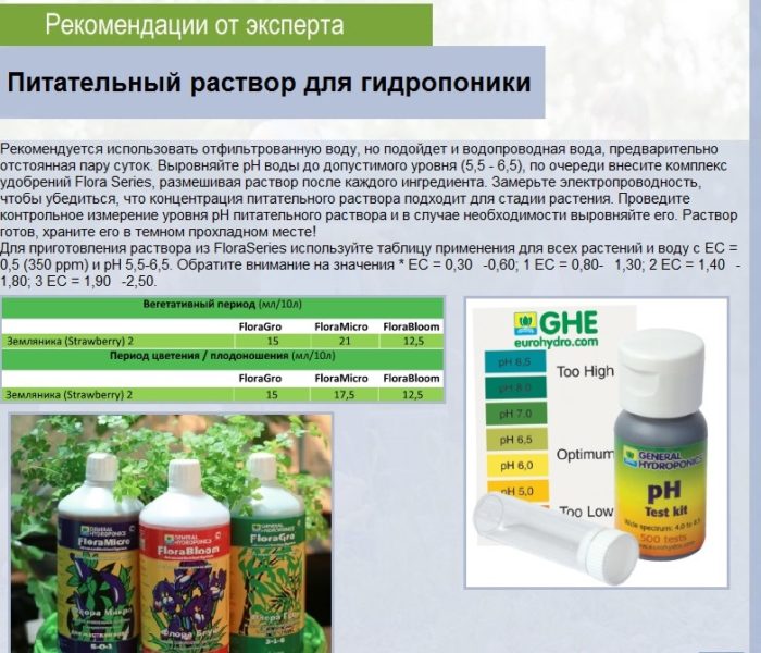 or0gq2r08m8-38-kopiya-kopiya-kopiya-kopiya-kopiya