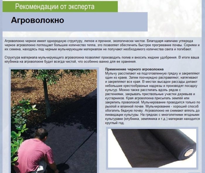 or0gq2r08m8-kopiya-kopiya-1