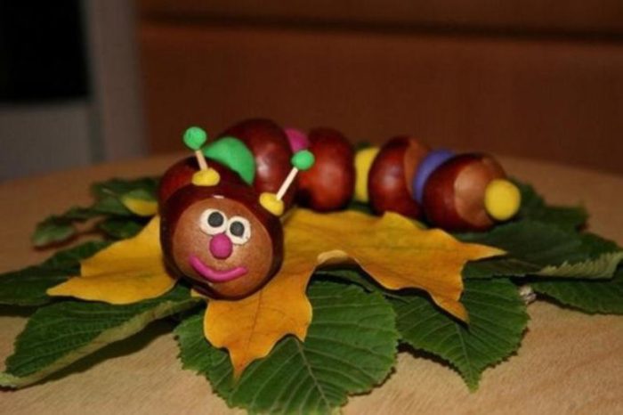 podelka-4-5-gusenica