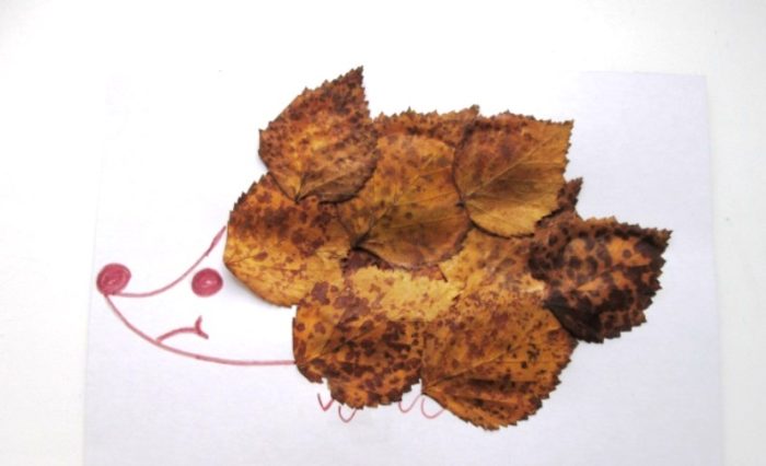 CREATOR: gd-jpeg v1.0 (using IJG JPEG v80), quality = 95