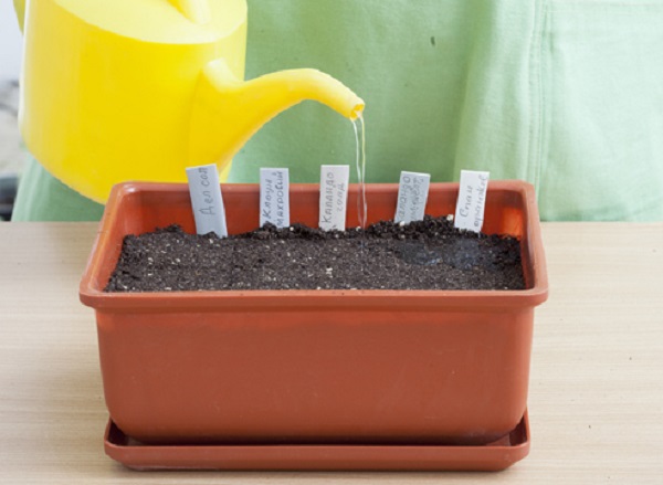 Ðолив поÑаженнÑÑ
ÑемÑн