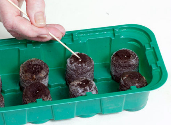 ÐоÑадка ÑемÑн в ÑаблеÑки