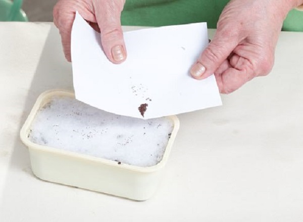 ÐоÑев ÑемÑн по ÑнегÑ