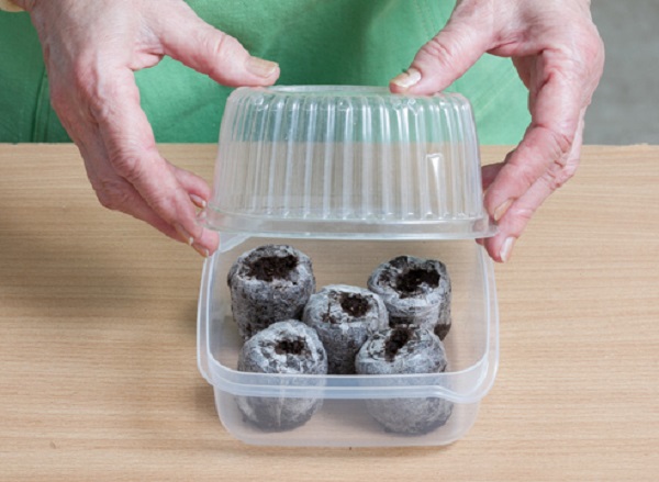 ÐÑоÑаÑивание ÑемÑн в ÑоÑÑÑнÑ
ÑаблеÑкаÑ