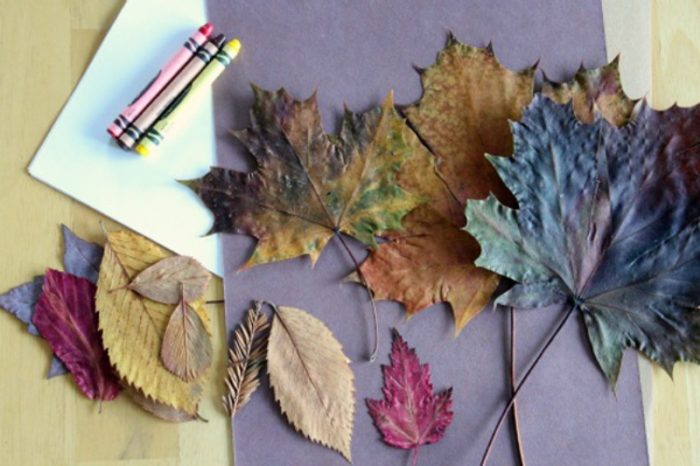 razrisovannye-listya