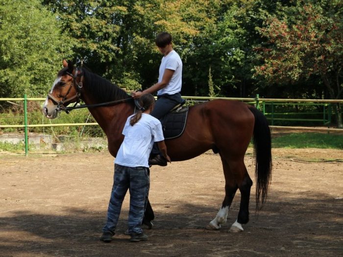 training-to-riding-2