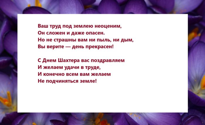 www-getbg-net_nature___flowers_crocus_flowers_on_the_lawn_065826_