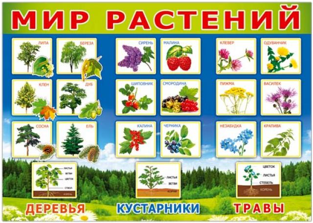 0e43e343d7ceee212a0ebf137d83a79e