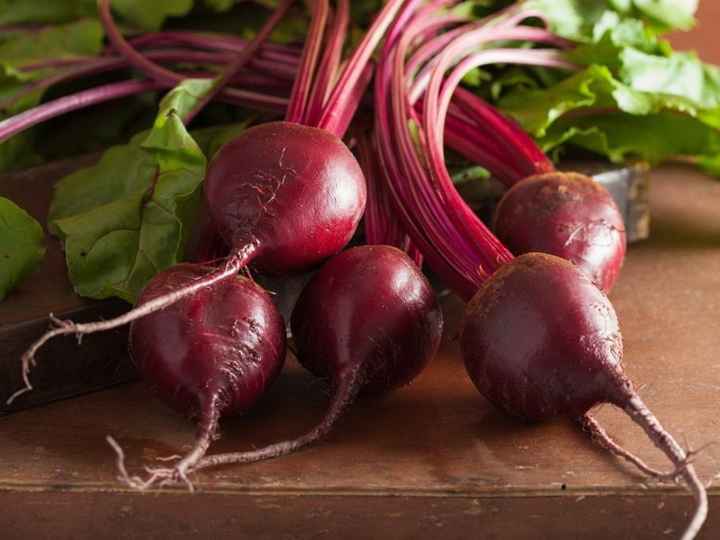 Свекла ÑоÑÑа «ХолодоÑÑойкаÑâ19»