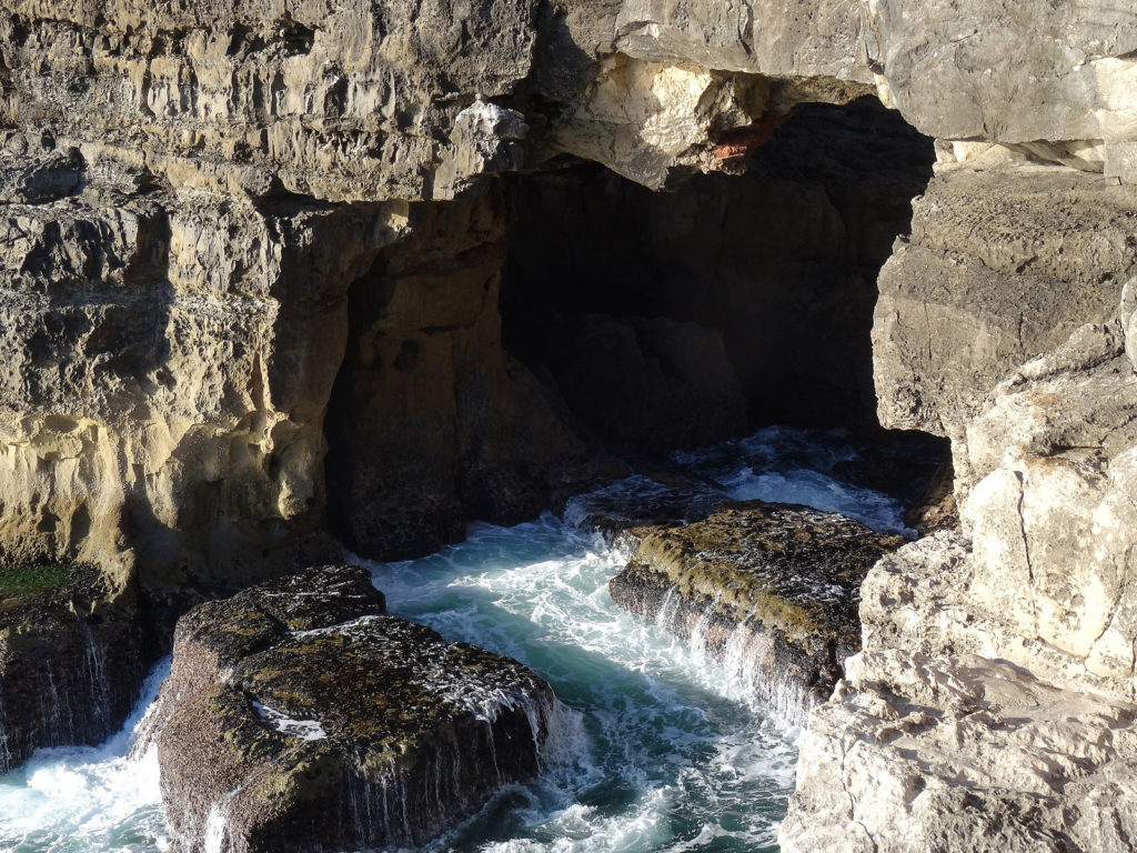 30694111043_a1d17da4c4_h