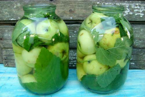 belyj-naliv-v-bankah