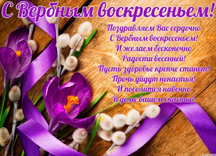 c69631a3adb92c1d4a07eb15183f5202