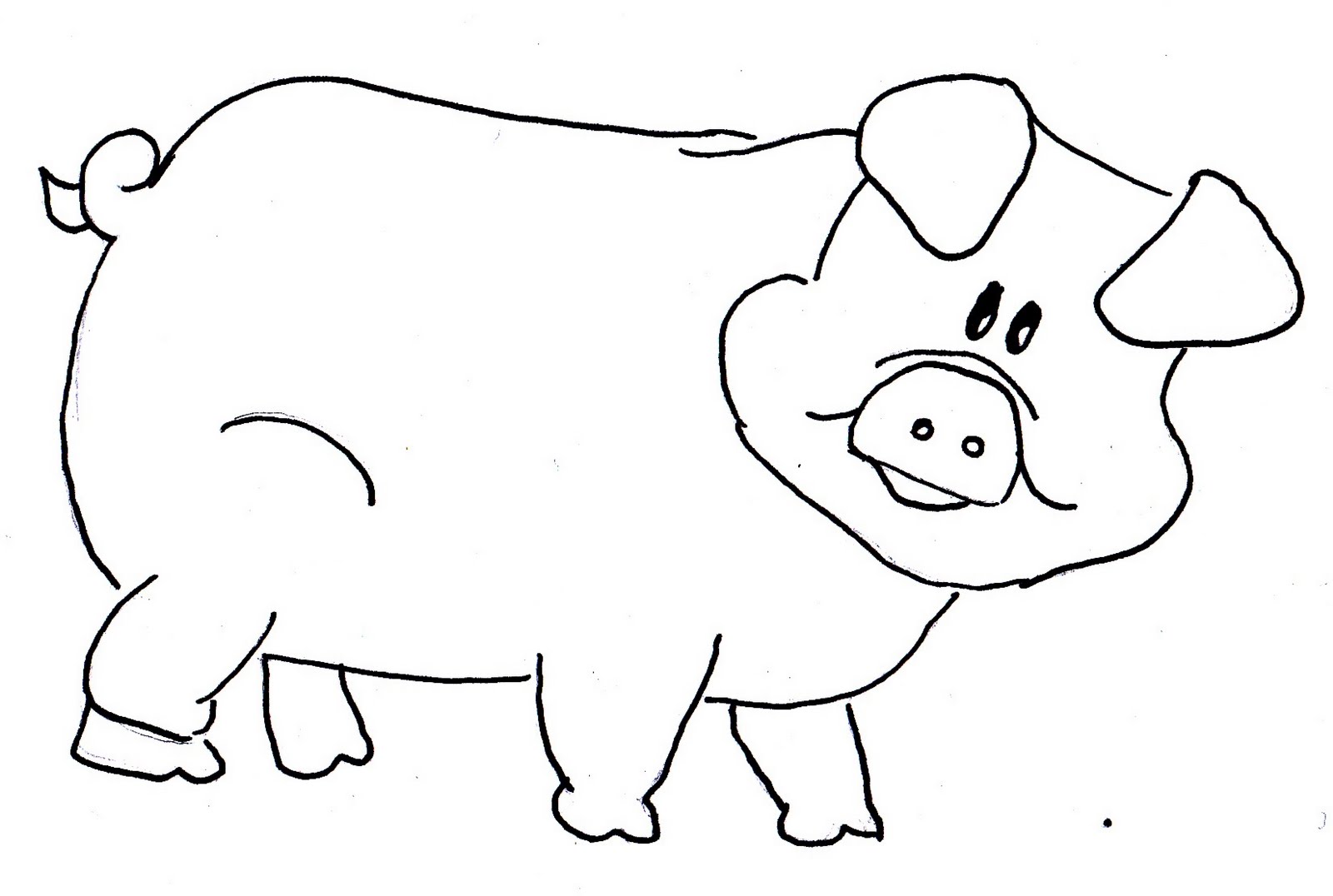 cartoon-pig-outline-template_217233