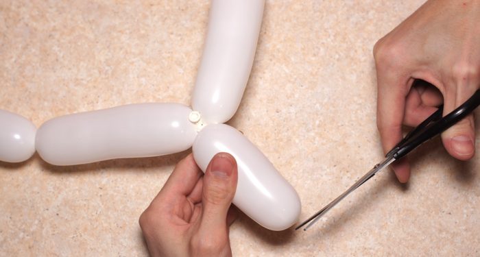 chamomile-of-balloons-spep-11