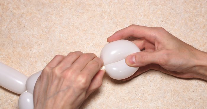 chamomile-of-balloons-spep-13