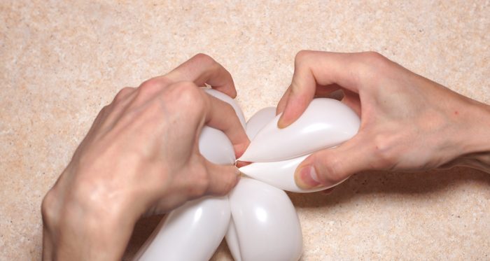 chamomile-of-balloons-spep-14