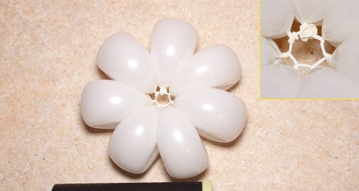 chamomile-of-balloons-spep-15