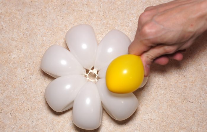 chamomile-of-balloons-spep-16
