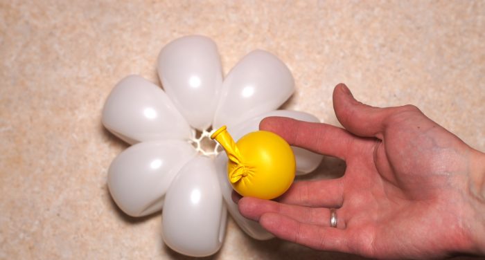 chamomile-of-balloons-spep-17